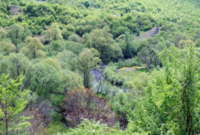 Green Hill and River