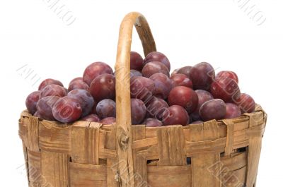 Crop of plums.
