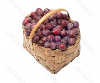 Crop of plums.