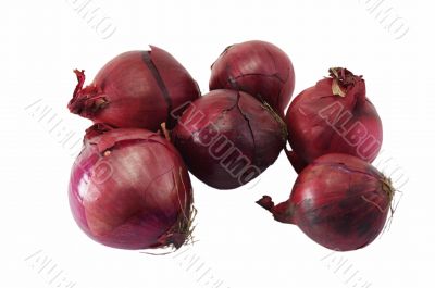 red onion isolated on white