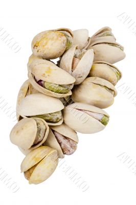 Pistachio Nuts