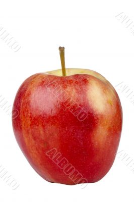 Gala Apple