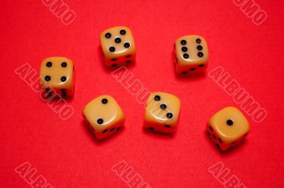 Dice used in Game