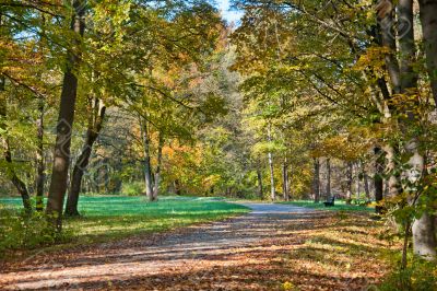 Walk in the park