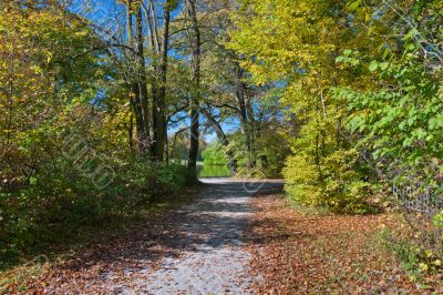 Walk in the park