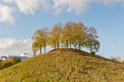 Trees on hill