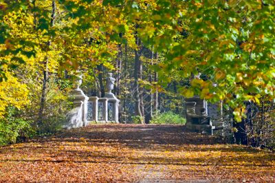 Walk in the park