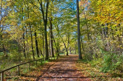 Walk in the park