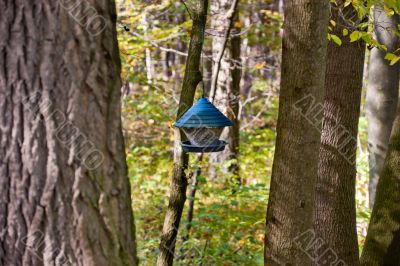 Trough on the tree