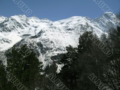 Mountain and the forest