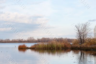 autumn landscape