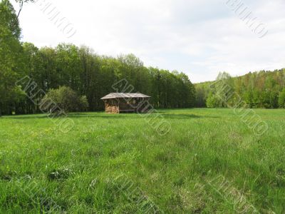 beautiful rural landscape at summer