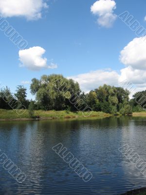 summer rural landscape with forest and river