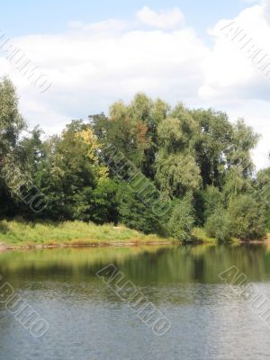 summer rural landscape with forest and river