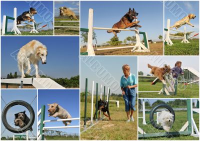 Agility Agility