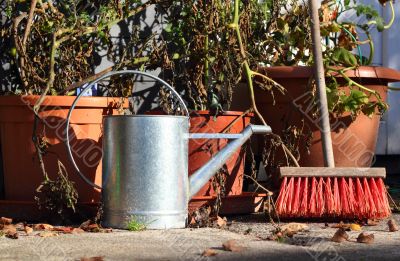 garden still life