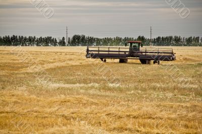 Combine harvester in a wheat field