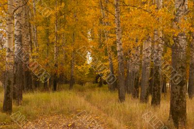 Autumn valley in central Russia_Horizontal