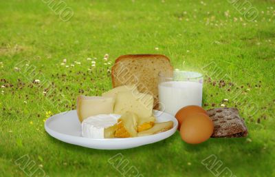 Breakfast foods on the grass