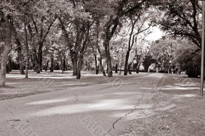 The last days of summer