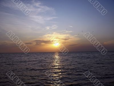 Sunset over the sea