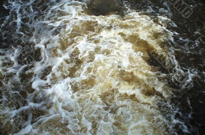 The stream. The stream.