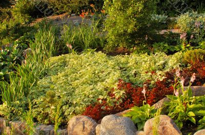 Flower-bed life. Flower-bed life.