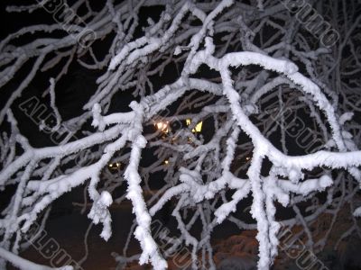 Yellow street lamp and the snowy branches