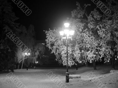 Lamp in the park. Winter landscape monochrome