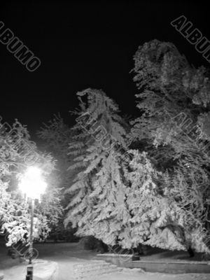 Winter landscape monochrome