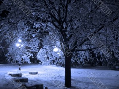 Winter landscape monochrome in blue