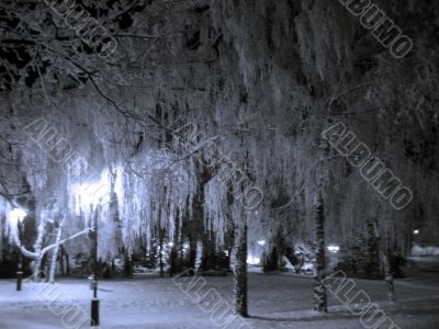 Winter landscape monochrome