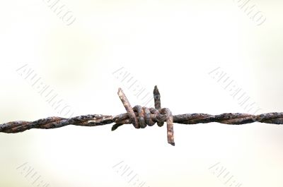 barbed wire