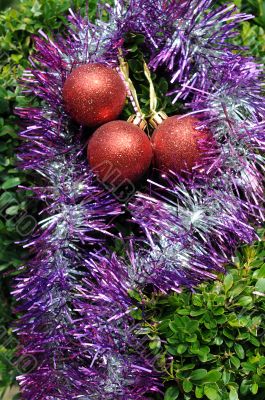 Christmas Decorations on Tropical Plant