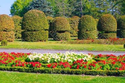 Trees and bushes