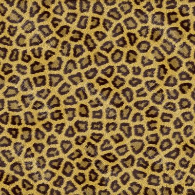 Leopard texture Leopard texture