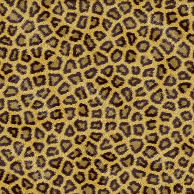 Leopard texture