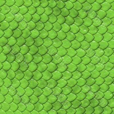 Reptile`s skin texture Reptile`s skin texture