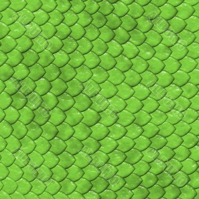 Reptile`s skin texture