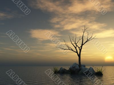 lonely lonely