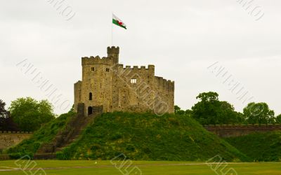 Castle watchtower on the hill