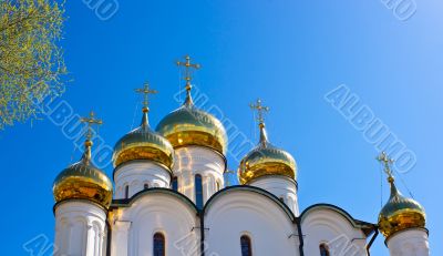 Russian othodox golden domes on sunshine