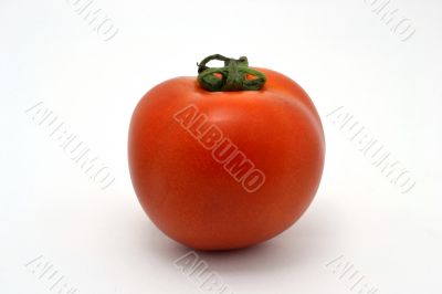 The tomato