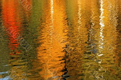 Autumn trees reflected in the water is beautiful