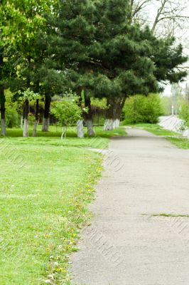 Footpath in park