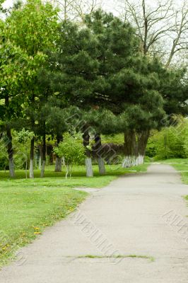 Footpath in park Footpath in park