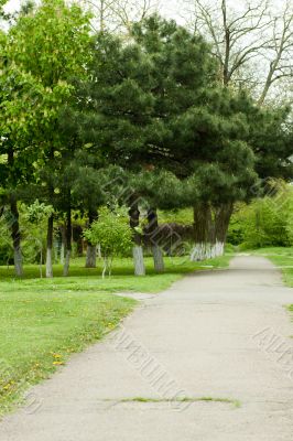 Footpath in park