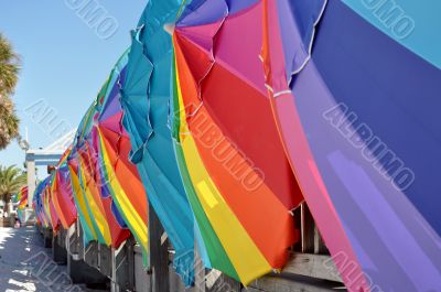 The Summer`s Colors The Summer`s Colors