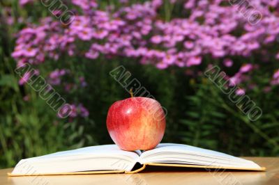 Apple with Book in Garden