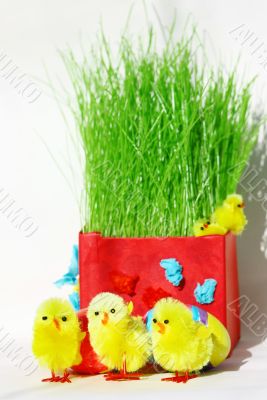easter chickens 